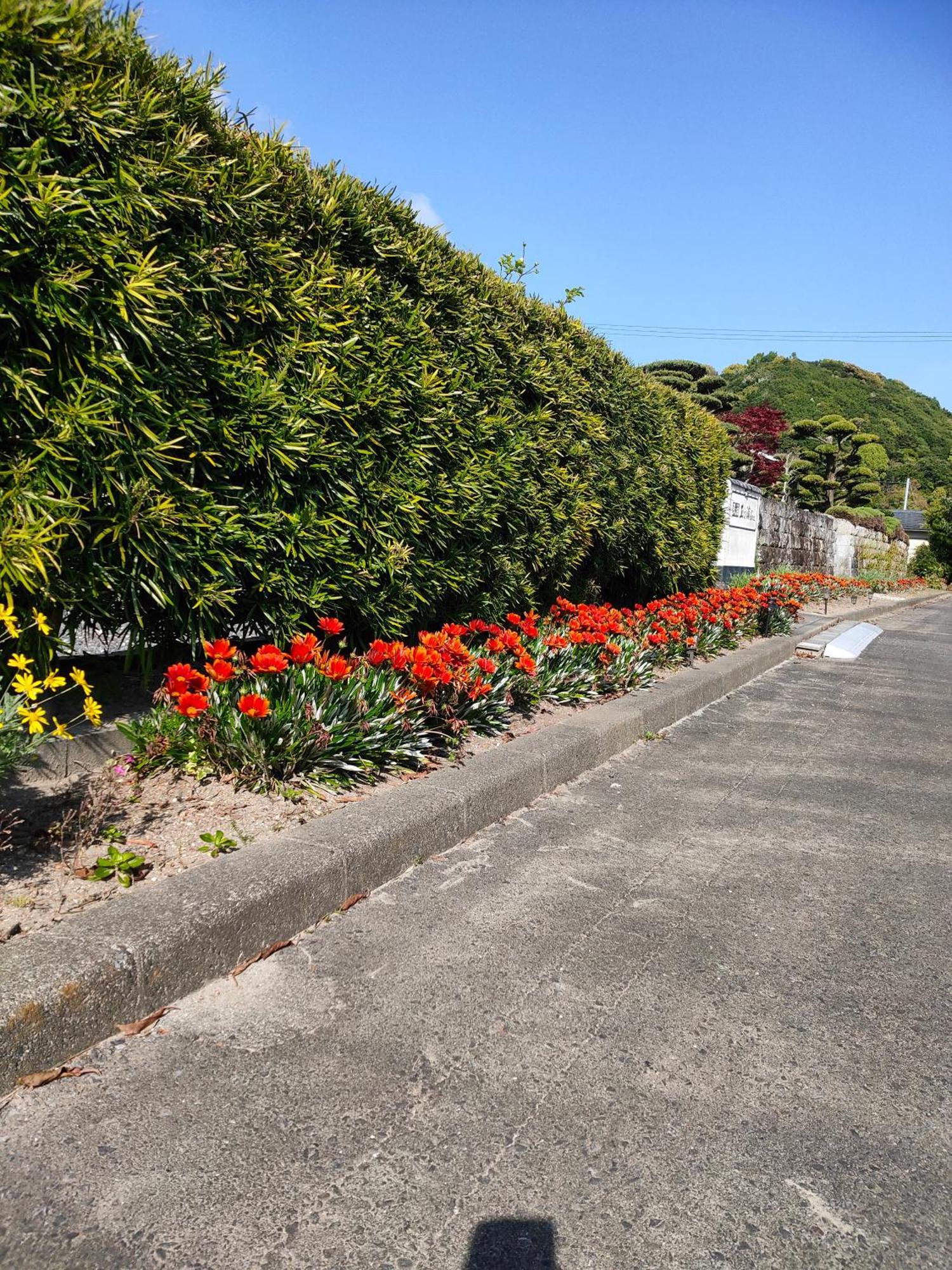 Affittacamere 玉の浦sea Nachikatsuura Esterno foto